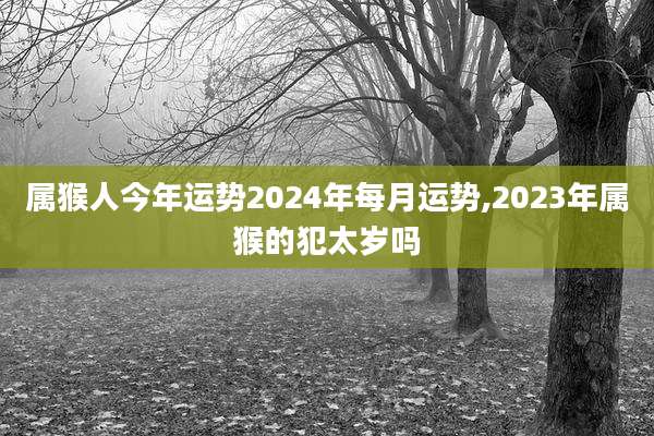 属猴人今年运势2024年每月运势,2023年属猴的犯太岁吗
