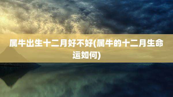 属牛出生十二月好不好(属牛的十二月生命运如何)