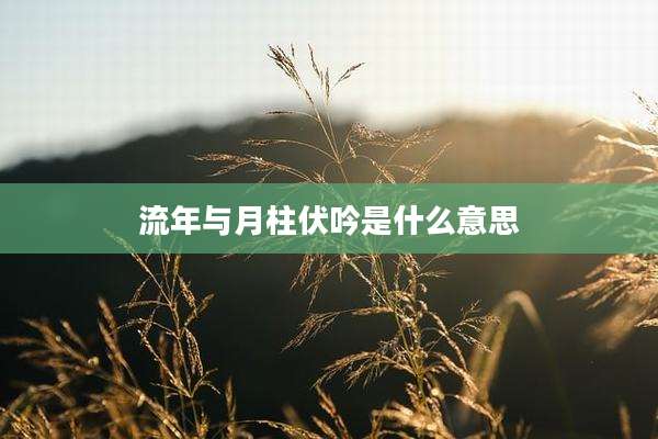 流年与月柱伏吟是什么意思