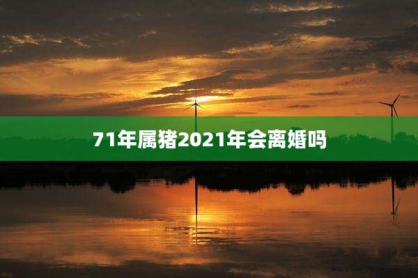 71年属猪2021年会离婚吗