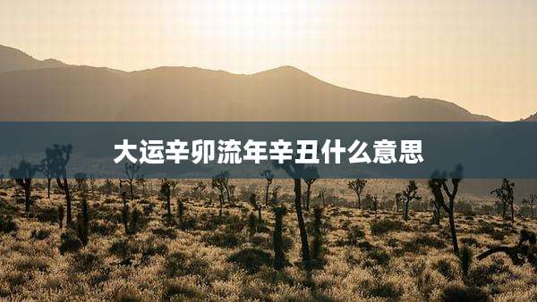 大运辛卯流年辛丑什么意思