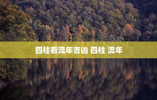 四柱看流年吉凶 四柱 流年