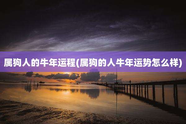 属狗人的牛年运程(属狗的人牛年运势怎么样)