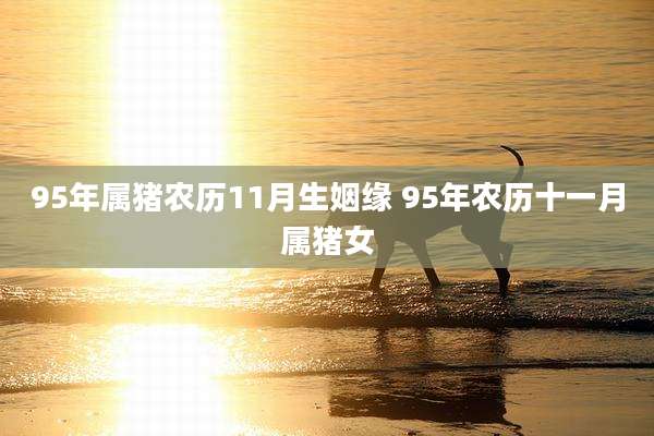 95年属猪农历11月生姻缘 95年农历十一月属猪女