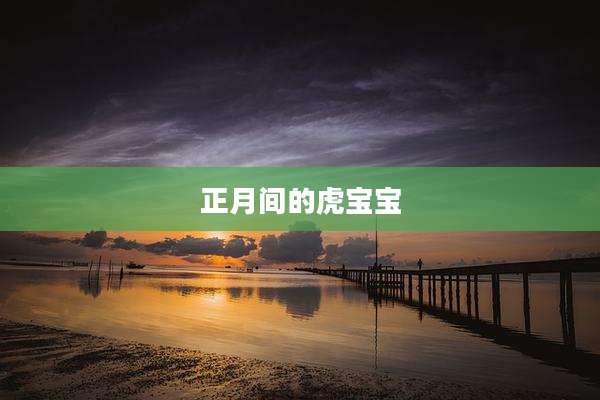 正月间的虎宝宝