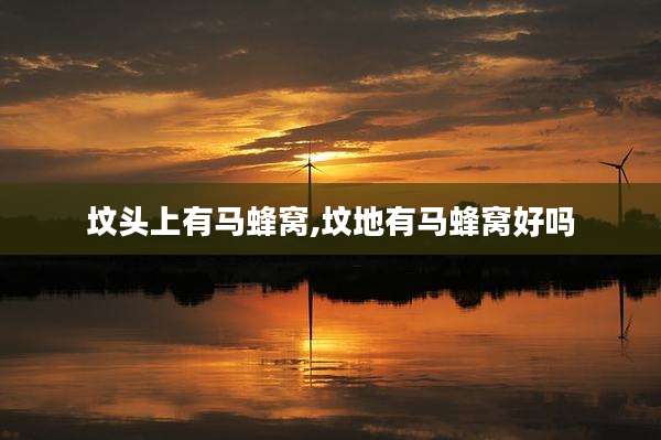 坟头上有马蜂窝,坟地有马蜂窝好吗