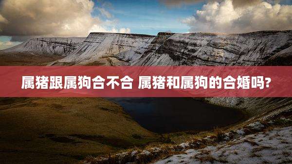 属猪跟属狗合不合 属猪和属狗的合婚吗?