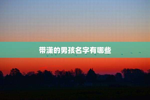 带潇的男孩名字有哪些