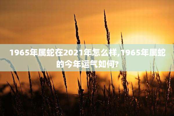 1965年属蛇在2021年怎么样,1965年属蛇的今年运气如何?