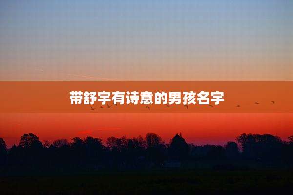 带舒字有诗意的男孩名字