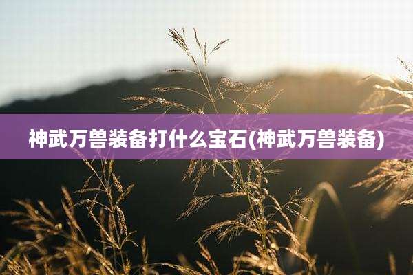 神武万兽装备打什么宝石(神武万兽装备)