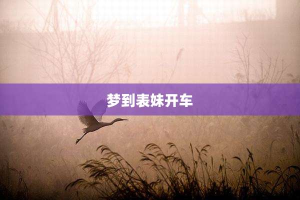 梦到表妹开车