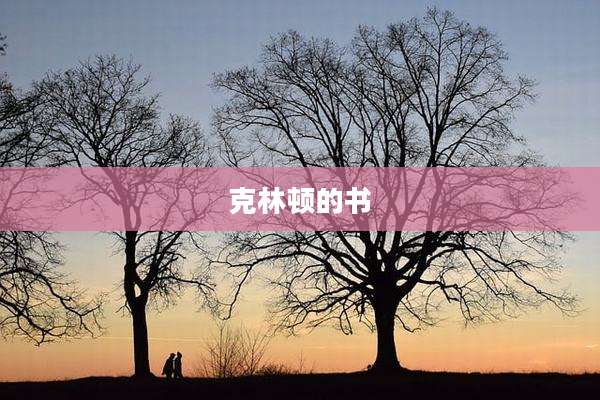克林顿的书