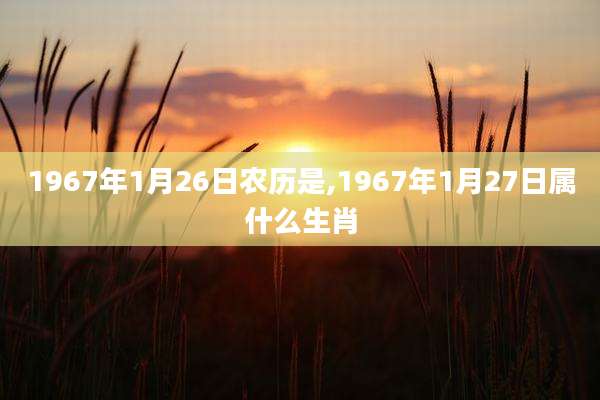 1967年1月26日农历是,1967年1月27日属什么生肖