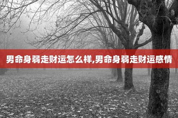男命身弱走财运怎么样,男命身弱走财运感情