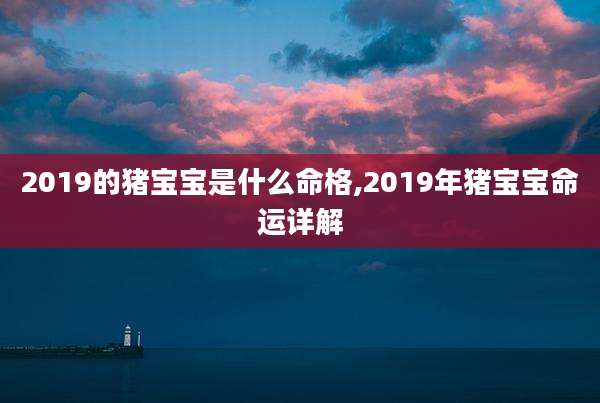 2019的猪宝宝是什么命格,2019年猪宝宝命运详解