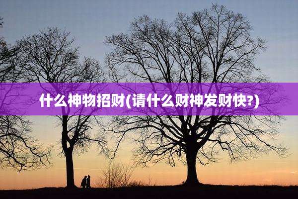 什么神物招财(请什么财神发财快?)