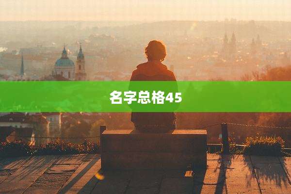名字总格45
