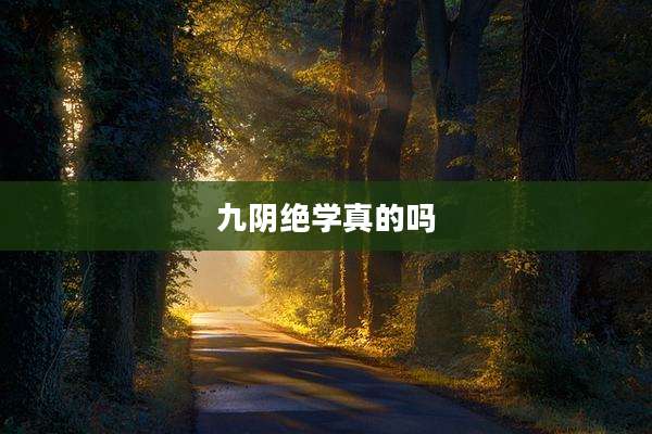 九阴绝学真的吗