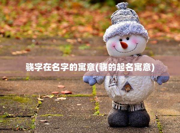 骁字在名字的寓意(骁的起名寓意)
