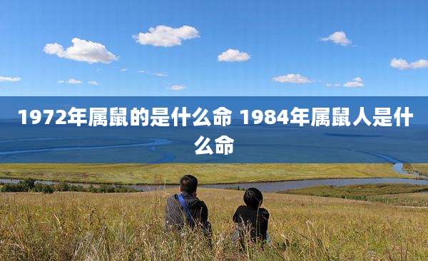 1972年属鼠的是什么命 1984年属鼠人是什么命