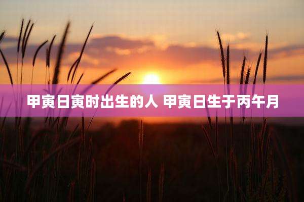 甲寅日寅时出生的人 甲寅日生于丙午月