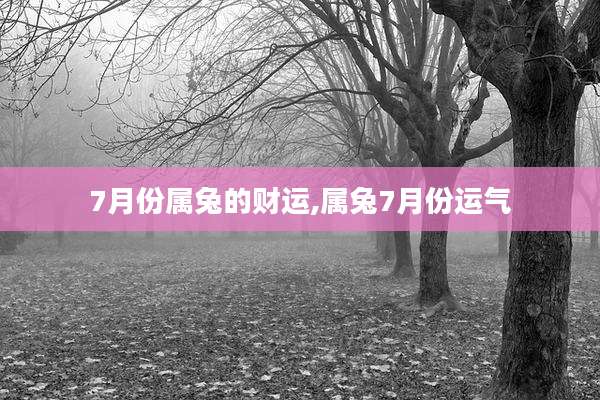 7月份属兔的财运,属兔7月份运气