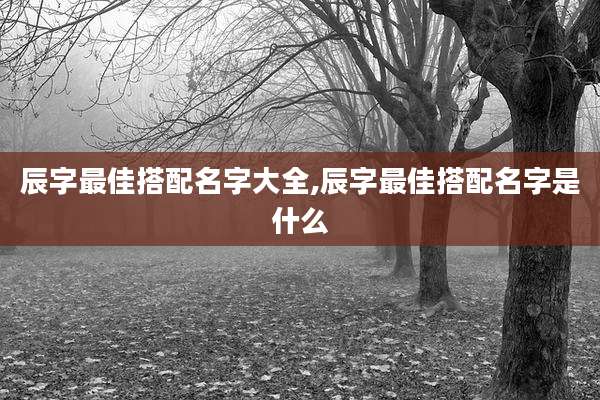 辰字最佳搭配名字大全,辰字最佳搭配名字是什么