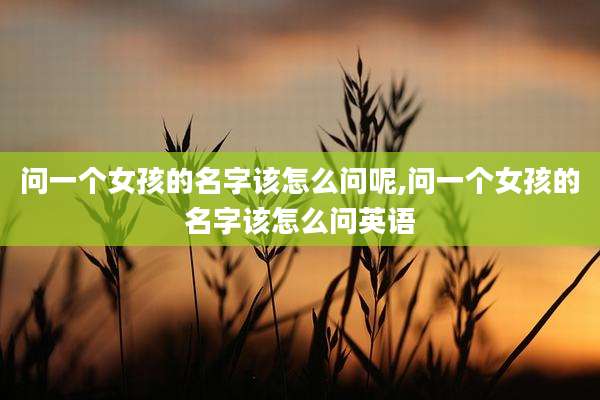 问一个女孩的名字该怎么问呢,问一个女孩的名字该怎么问英语