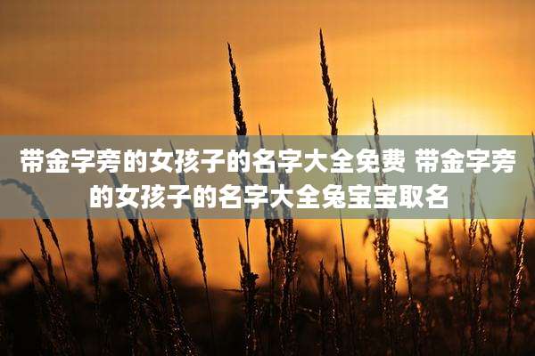 带金字旁的女孩子的名字大全免费 带金字旁的女孩子的名字大全兔宝宝取名