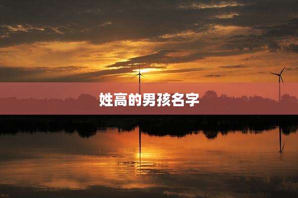 姓高的男孩名字