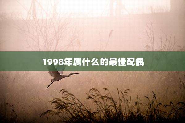 1998年属什么的最佳配偶