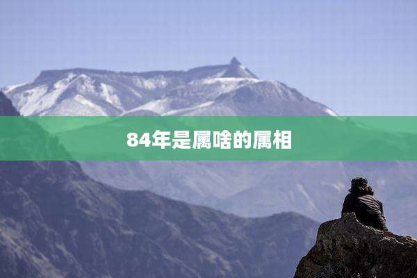 84年是属啥的属相