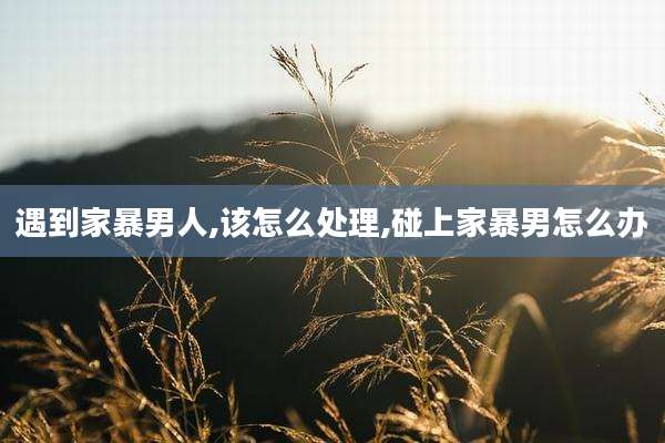 遇到家暴男人,该怎么处理,碰上家暴男怎么办