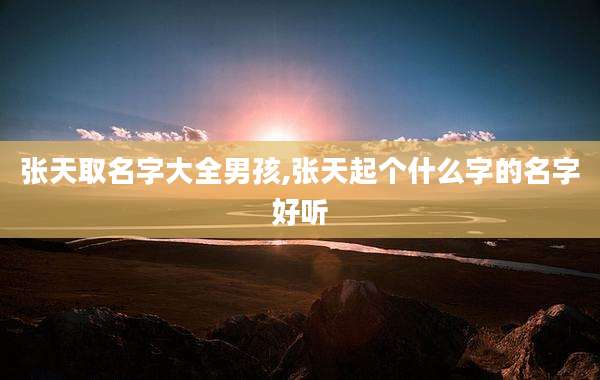 张天取名字大全男孩,张天起个什么字的名字好听