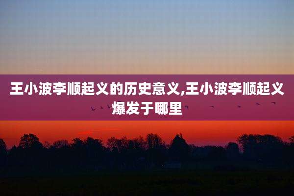 王小波李顺起义的历史意义,王小波李顺起义爆发于哪里