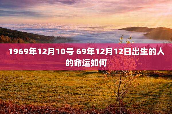 1969年12月10号 69年12月12日出生的人的命运如何