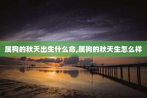 属狗的秋天出生什么命,属狗的秋天生怎么样