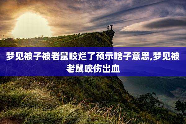 梦见被子被老鼠咬烂了预示啥子意思,梦见被老鼠咬伤出血