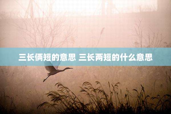 三长俩短的意思 三长两短的什么意思