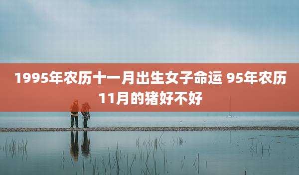 1995年农历十一月出生女子命运 95年农历11月的猪好不好