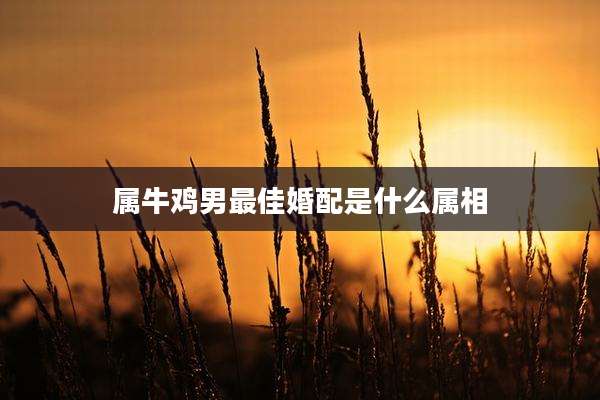 属牛鸡男最佳婚配是什么属相