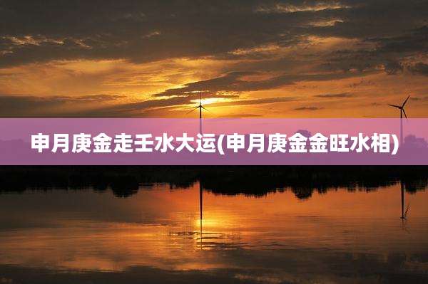 申月庚金走壬水大运(申月庚金金旺水相)