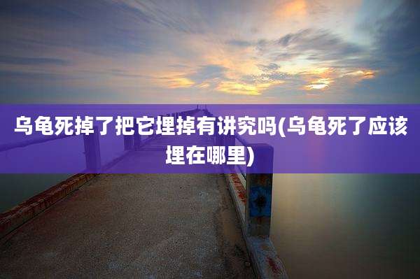 乌龟死掉了把它埋掉有讲究吗(乌龟死了应该埋在哪里)