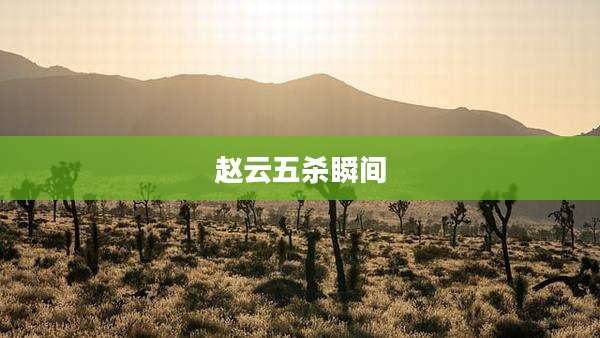 赵云五杀瞬间