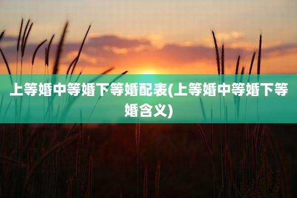 上等婚中等婚下等婚配表(上等婚中等婚下等婚含义)