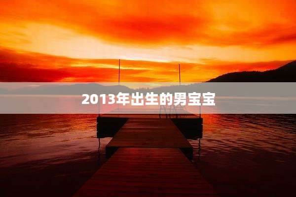 2013年出生的男宝宝