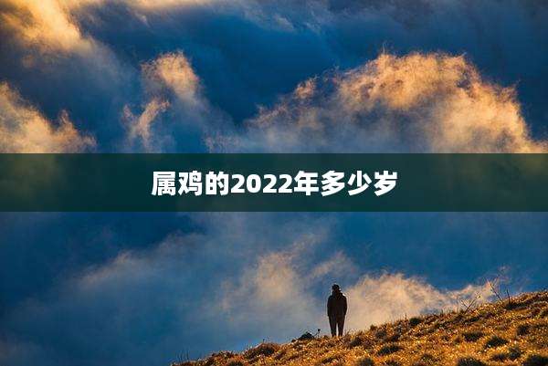 属鸡的2022年多少岁