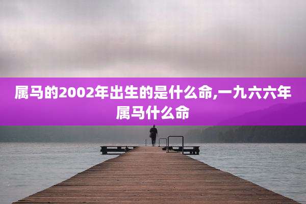 属马的2002年出生的是什么命,一九六六年属马什么命