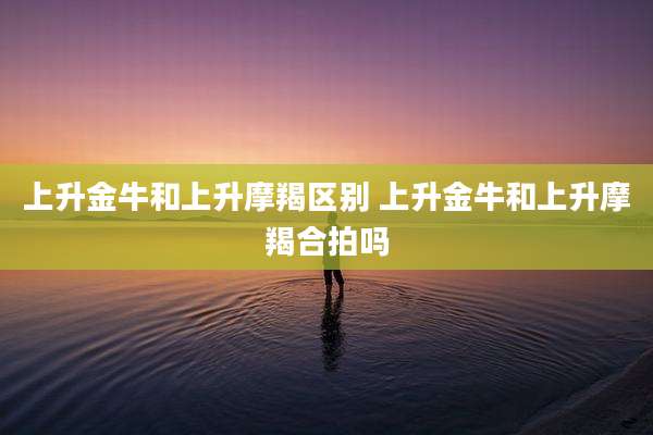 上升金牛和上升摩羯区别 上升金牛和上升摩羯合拍吗